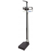 Mechanical Beam Scale