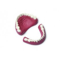 Denture(s)