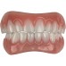 Denture(s)